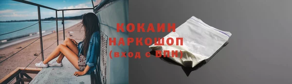 индика Мегион
