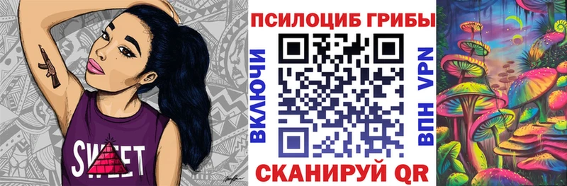 kraken   Чернушка  Галлюциногенные грибы Magic Shrooms 